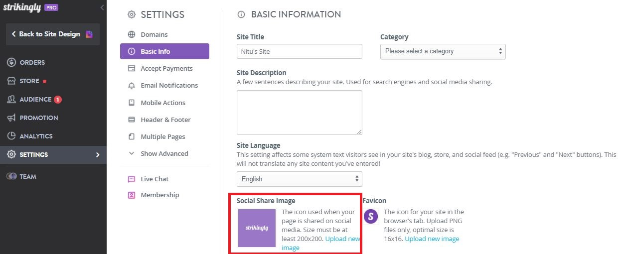 Social share image strikingly Social share image strikingly